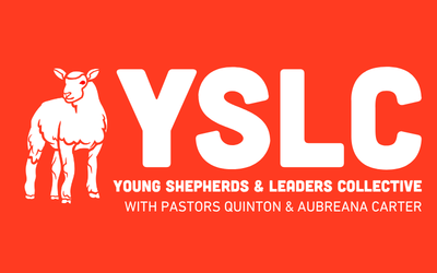 YOUNG SHEPHERDS